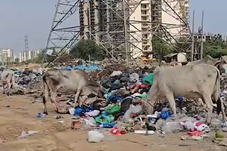 AI से फर्जी सफाई का फोटो, GPS हैक कर घर बैठे हाजिरी! गुरुग्राम नगर निगम के 4 'स्मार्ट' कर्मचारी बर्खास्त