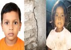 नाग का बदला, पहले बेटी को डसा... फिर बेटे के ऊपर बैठा मिला करैत, 6 साल के मासूम की चली गई जान!