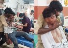 हरदोई में जहरीले सांप के डसने के बाद भाई ने दिखाई गजब की सूझबूझ: बेहोशी से बचाने के लिए जड़े 150 से ज्यादा थप्पड़, बची जान