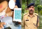 इंस्ट्राग्राम पर दारोगा डालती थी आपत्तिजनक वीडियो, साथ में क्यूआर कोड, वीडियो हुआ वायरल तो एसएसपी ने किया सस्पेंड