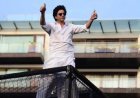 शाहरुख खान के मन्नत में घुस आए 2 सांप! 8 फीट लंबा एक रेस्क्यू, दूसरा अभी भी लापता