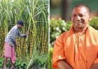 गन्ना किसानों को योगी सरकार का बड़ा तोहफा! 3.25 लाख करोड़ का भुगतान, यूपी बना देश का नंबर-1 राज्य