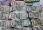 पीएनबी बैंक में बड़ा घोटाला, करेंसी चेस्ट में करोड़ों का खेल! 7.40 करोड़ जाली नोट, 4.36 लाख रुपये गायब, एफआईआर दर्ज