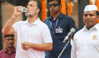 सुप्रीम कोर्ट से राहुल गांधी को बड़ी राहत! इलाहाबाद HC में रोक, ED-CBI को रिपोर्ट न बनाने का आदेश