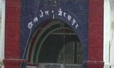 जेल की दीवार फांदने वाला 'गवाह' पेड़ अब सुरक्षा में! दो बंदी रक्षक दे रहे 24 घंटे पहरा, जानें क्यों काटना बंद कर दिया गया