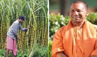 गन्ना किसानों को योगी सरकार का बड़ा तोहफा! 3.25 लाख करोड़ का भुगतान, यूपी बना देश का नंबर-1 राज्य