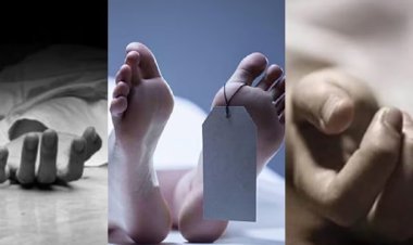 रक्षाबंधन के अगले दिन बस स्टैंड पर फॉर्च्यूनर की टक्कर… तीन भाई-बहन की मौत, चौथे की हालत गंभीर