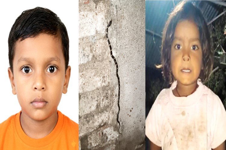 नाग का बदला, पहले बेटी को डसा... फिर बेटे के ऊपर बैठा मिला करैत, 6 साल के मासूम की चली गई जान!