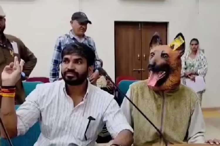 कुत्ते का मास्क पहनकर कलेक्ट्रेट पहुंचा फरियादी! खंडवा में आवारा कुत्तों और नसबंदी में भ्रष्टाचार का अनोखा विरोध