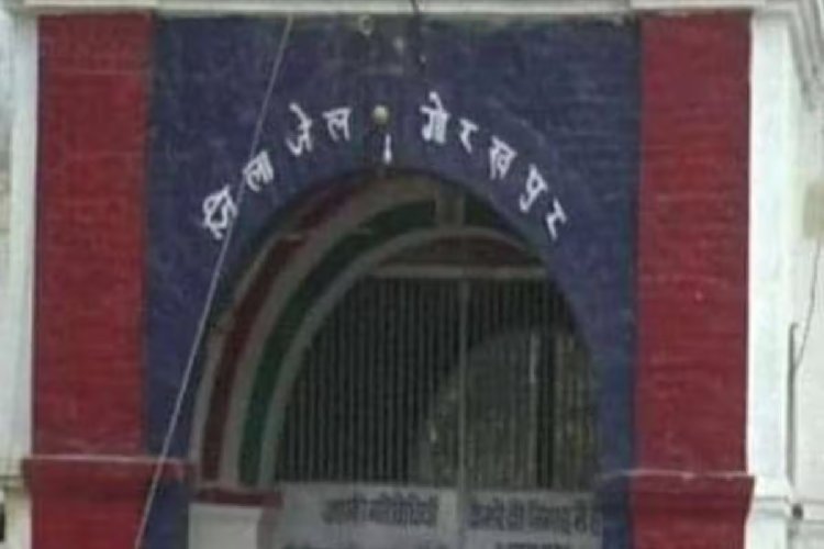 जेल की दीवार फांदने वाला 'गवाह' पेड़ अब सुरक्षा में! दो बंदी रक्षक दे रहे 24 घंटे पहरा, जानें क्यों काटना बंद कर दिया गया