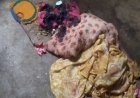 रहस्यमयी आग से दहशत में डबरा के लोग, अचानक जल जा रहे कपड़े-बिस्तर, दुल्हन की साड़ी भी जली