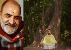 हनुमान अंश का कमाल: 40वें दिन भी कमाए 8.25 करोड़, वर्ल्डवाइड कलेक्शन 300 करोड़ के करीब