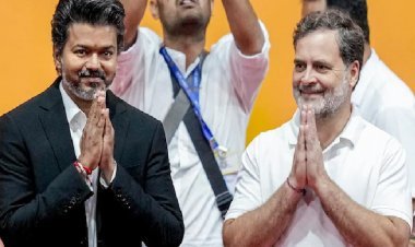 बड़ा दावा! विजय ने राहुल गांधी को PM उम्मीदवार चुना... कांग्रेस बोली- गठबंधन में कोई दरार नहीं