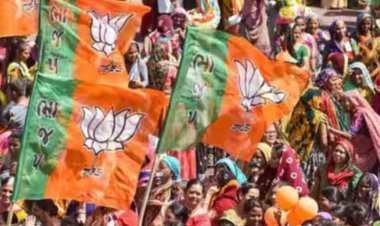 राजस्थान निकाय चुनाव में BJP उम्मीदवार को सिर्फ 1 वोट! बोले- ‘किसी ने मेरे लिए वोट दे दिया’