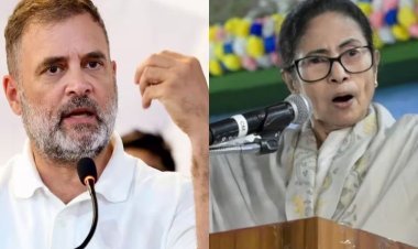 बंगाल चुनाव में ममता को हरवाने वाले राहुल क्यों बोल रहे TMC की भाषा? BJP पर लगाए 'पार्टी चोरी' के गंभीर आरोप