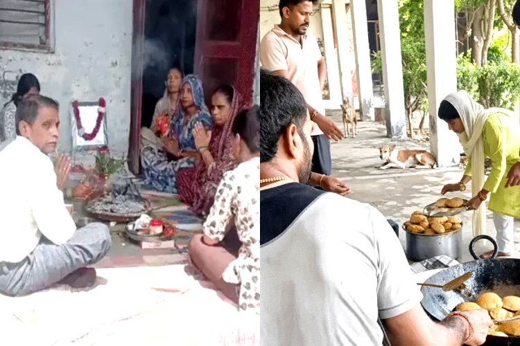 कुत्ते की तेरहवीं में उमड़ा हुजूम, हलवाई ने बनाया खाना, बांटे बूंदी के लड्डू, पूरा इंतजाम देख रह जाएंगे दंग