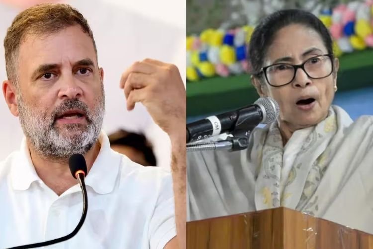बंगाल चुनाव में ममता को हरवाने वाले राहुल क्यों बोल रहे TMC की भाषा? BJP पर लगाए 'पार्टी चोरी' के गंभीर आरोप