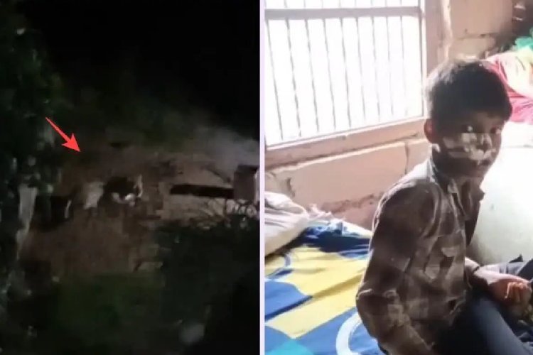 तेंदुए से भिड़ गया 10 साल का अंश! जख्मी होने के बावजूद गला दबोचे रखा, आदमखोर को भागना पड़ा