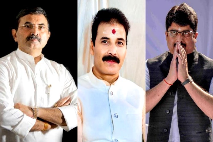 बृजेश-विनीत से राजा भैया तक...इन 5 बाहुबली की विरासत संभालने उतरी अगली पीढ़ी