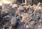 नौकरी गई तो गुस्से में आगजनी! नागपुर में पूर्व कर्मचारी ने गैराज में लगाई आग, 20 बाइक-स्कूटर जलकर खाक, CCTV में कैद वारदात
