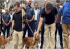 राहुल गांधी का क्यूट अंदाज! एयरपोर्ट पर स्निफर डॉग से हुई मुलाकात, वीडियो ने जीत लिया दिल