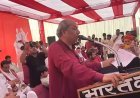 एनडीए में रहकर सपा प्रत्याशी के साथ खड़े थे संजय निषाद? बोले- समाज के खिलाफ प्रचार नहीं करूंगा!