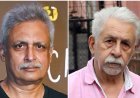 ''स्मित मछ्छर पर भी बोलो…'' पीयूष मिश्रा ने नसीरुद्दीन शाह को सीजेपी प्रदर्शन पर दिया करारा जवाब