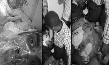 30 हजार फीट पर मौत से जंग: घायल भारतीय पायलट ने खोला कॉकपिट, 174 यात्रियों की बची जान