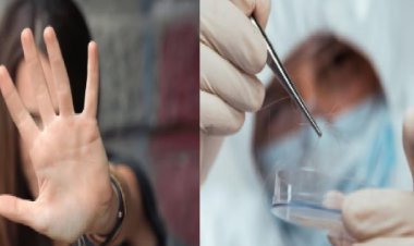 नाखूनों में छिपा था सुराग… DNA से सुलझी दो साल पुरानी हत्या की गुत्थी, रायपुर पुलिस ने 3 को दबोचा