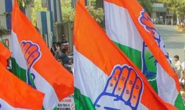 उत्तराखंड निकाय चुनाव में कांग्रेस का तूफान! किच्छा में तीसरी बार कब्जा, आधे वार्ड जीते, भाजपा की करारी हार!