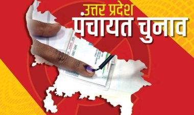 Allahabad High Court on UP Panchayat Election: तीन महीने में चुनाव कराने का आदेश, प्रशासकों की नियुक्ति को मिली हरी झंडी