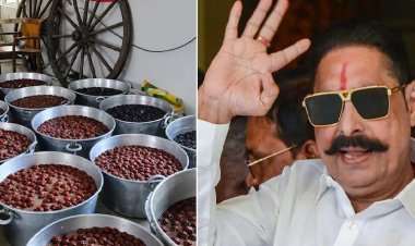 आज बिहार से यूपी तक MLC चुनाव के आएंगे नतीजे, पार्टी दफ्तरों में जश्न की तैयारियां तेज, अनंत सिंह के आवास पर बंटने लगे गुलाब जामुन