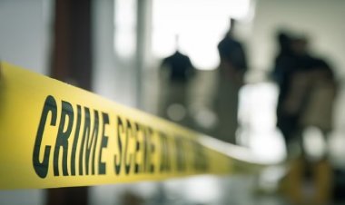 तीन बच्चों के सामने पत्नी का गला घोंटा... LIC अधिकारी ने हत्या को आत्महत्या बताने की कोशिश की, बच्चे ने खोला राज