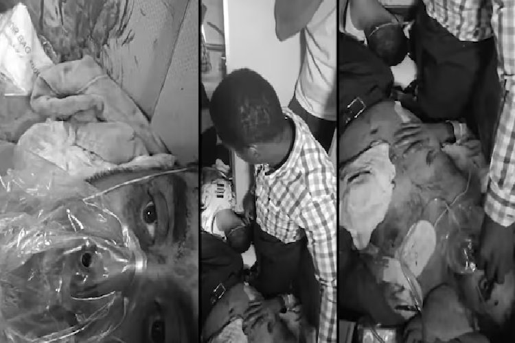 30 हजार फीट पर मौत से जंग: घायल भारतीय पायलट ने खोला कॉकपिट, 174 यात्रियों की बची जान