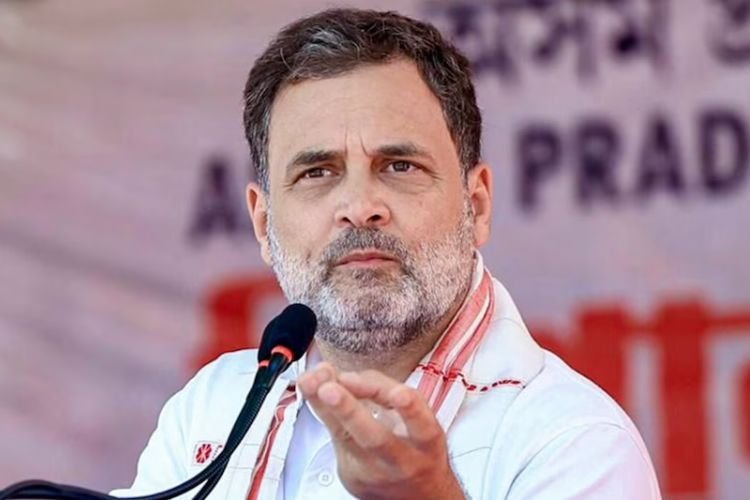 'मुझ पर 45 केस, फिर वोट चोरी पर मुकदमा क्यों नहीं?'— गोवा में राहुल गांधी का अजीबोगरीब तर्क, फिर संवैधानिक संस्थाओं पर मढ़ा हार का ठीकरा!