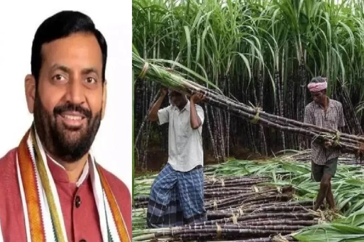 हरियाणा में दिवाली से पहले किसानों को सौगात...सीएम नायब सैनी ने गन्ने के रेट बढ़ाए, इस साल ₹430, अगले साल ₹450